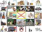 Small Dog rechargeable (3 ~ 12 lb) Entraînement à distance 10 Collier de vibration de choc (GT-211S-350W)
