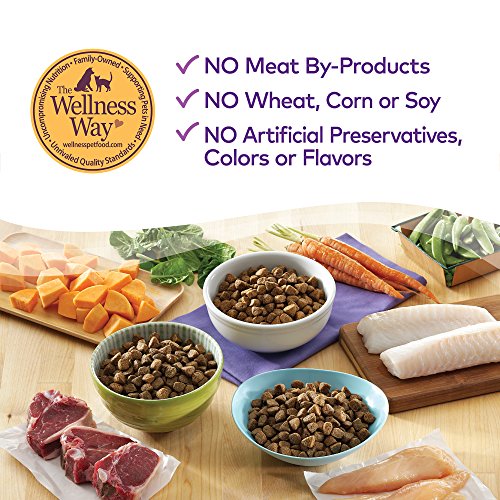 Wellness Complete Health Natural Wet Canned Dog Food Venison & Sweet Potato