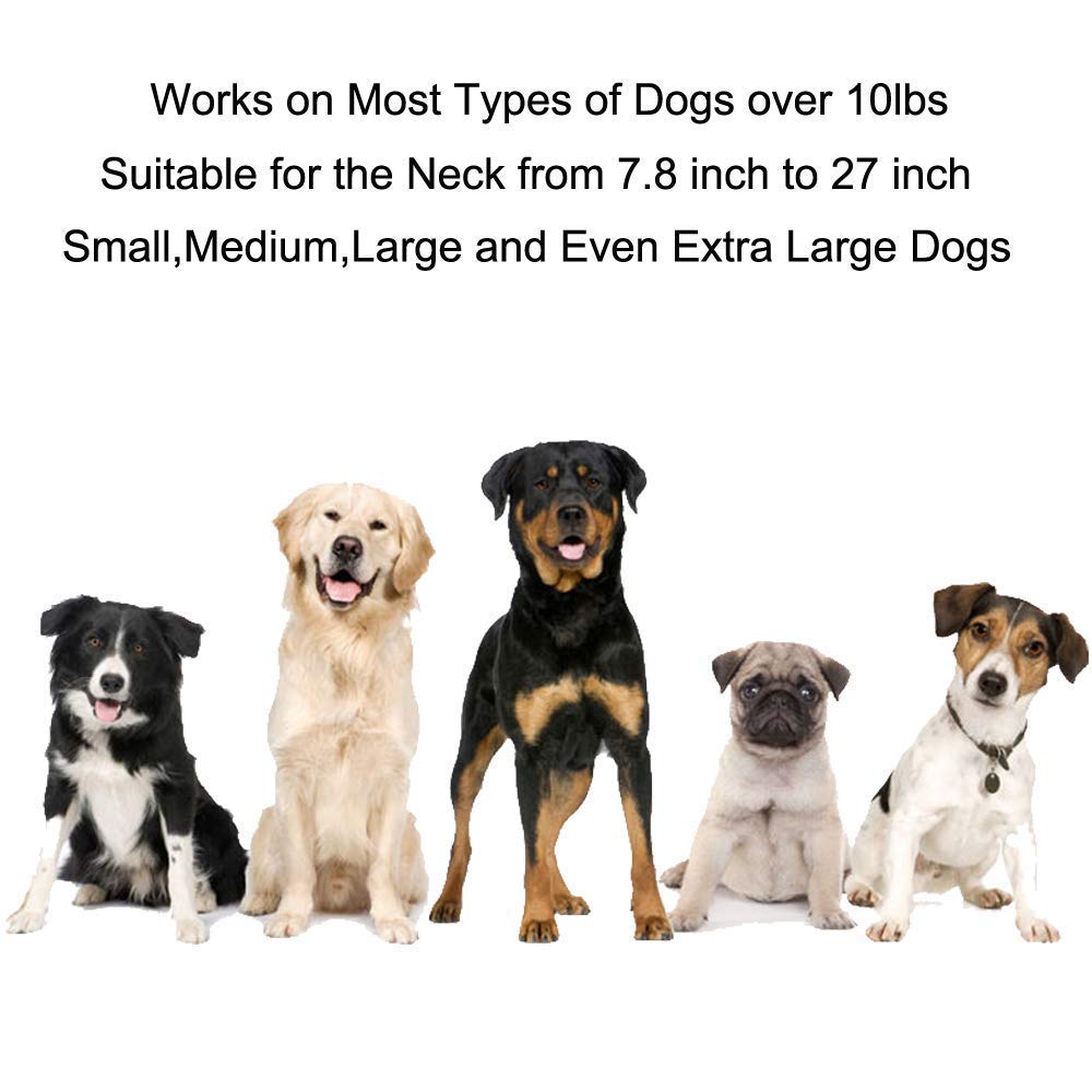 YHPOYLP Pets Wireless Dog Fence Outdoor Invisible Wireless Fence Containment System for Dogs Keep Pet Safe Radius Cover up to 1600Ft Rechargeable Waterproof Collar