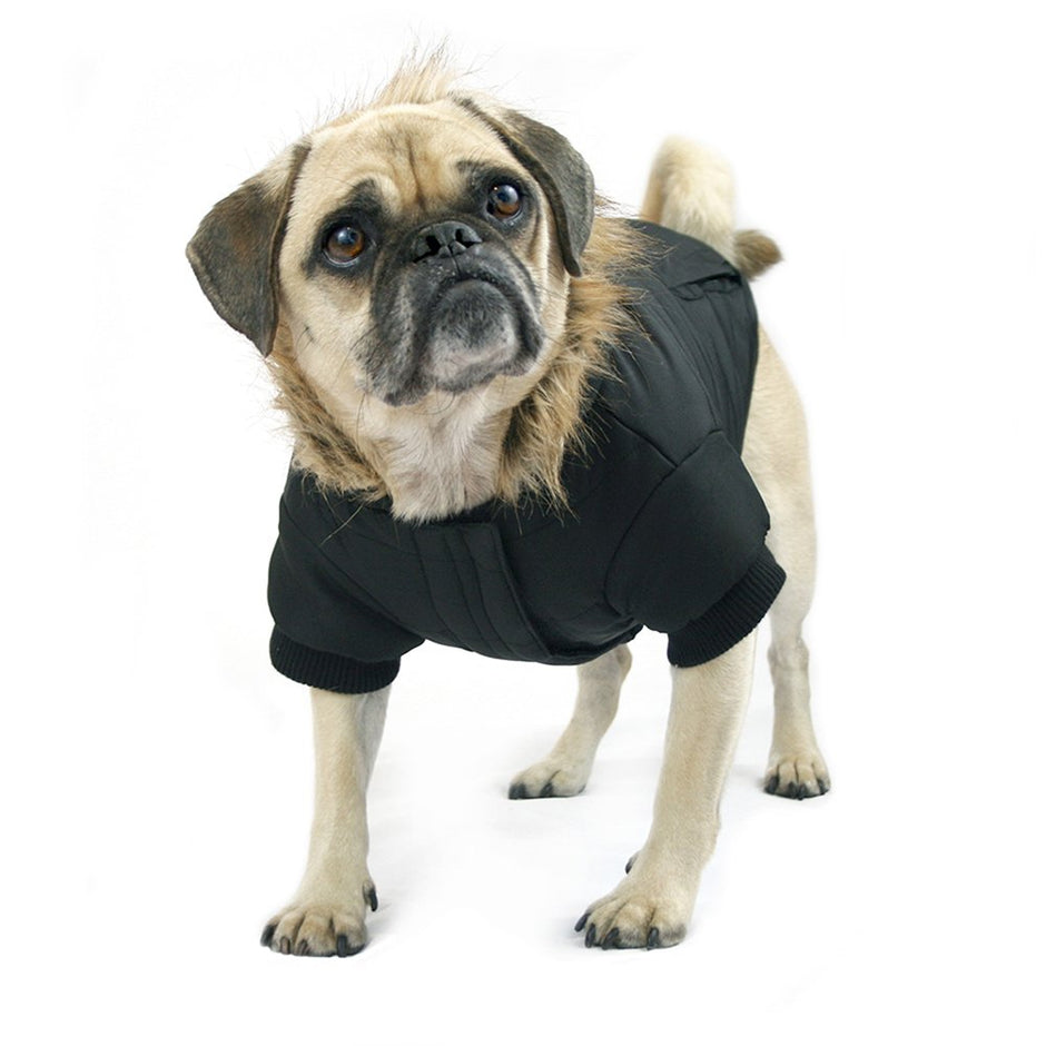 Parka du pole nord du chien du Canada, noir, taille 22