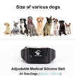 Dog Training Collar for Dogs with 3 Training Modes Electric Shock 0~16 Schock Levels Rechargeable and Waterproof Remote E-Collar