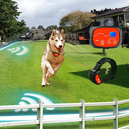 Système d'entraînement pour chiens électriques avec 2 colliers rechargeables et imperméables, créez une limite efficace pour vos animaux de compagnie