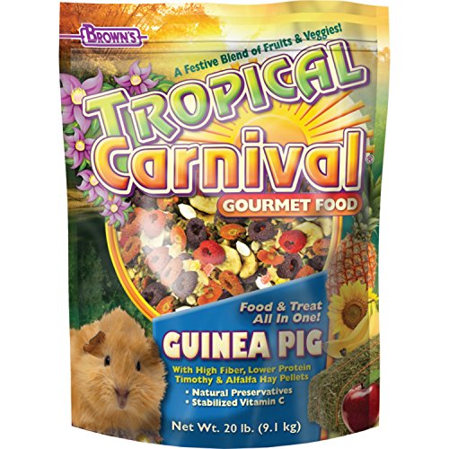 FM Browns HH4075 Tropical Carnival Gourmet Guinea Pig Food 20 lb
