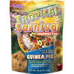 FM Browns HH4075 Tropical Carnival Gourmet Guinea Pig Food 20 lb
