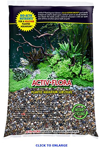 Nature's Ocean 81241 Active Flora Lake Gems 20LB