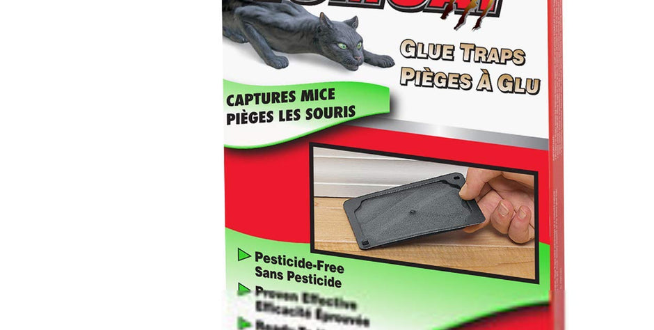 Tomcat - (4) Trap de colle de souris