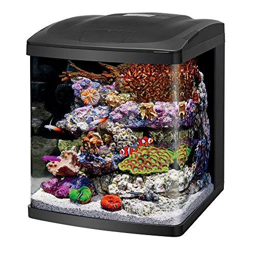 Coralife Bio Cube, taille 29