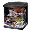 Coralife Bio Cube, taille 29