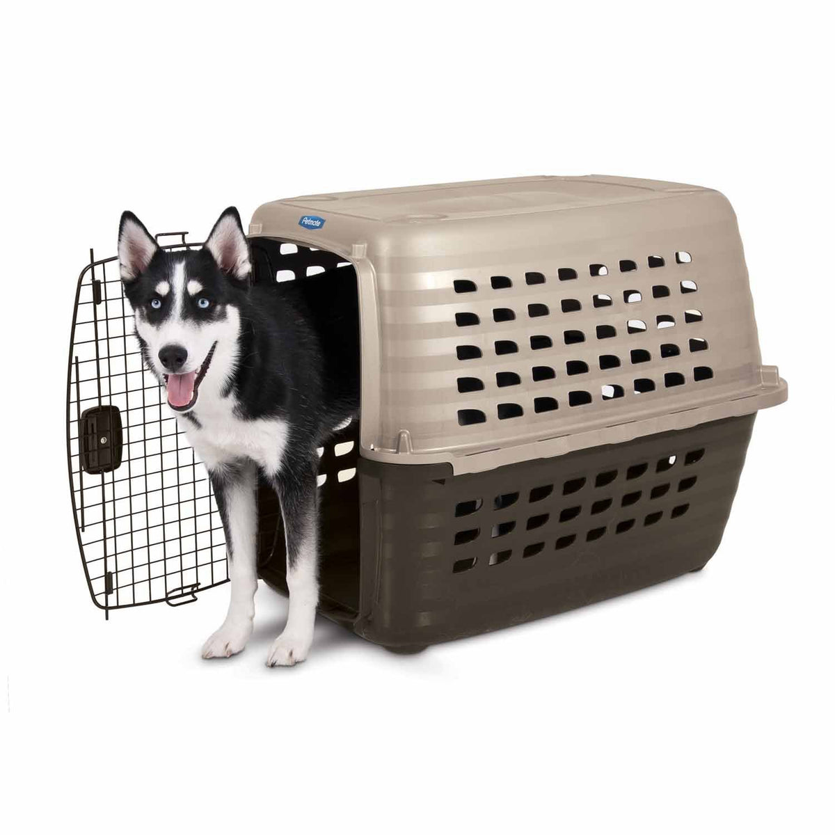 Petmate 290272 19 par 12.7 par 11,5 pouces Navigateur pour animaux de compagnie