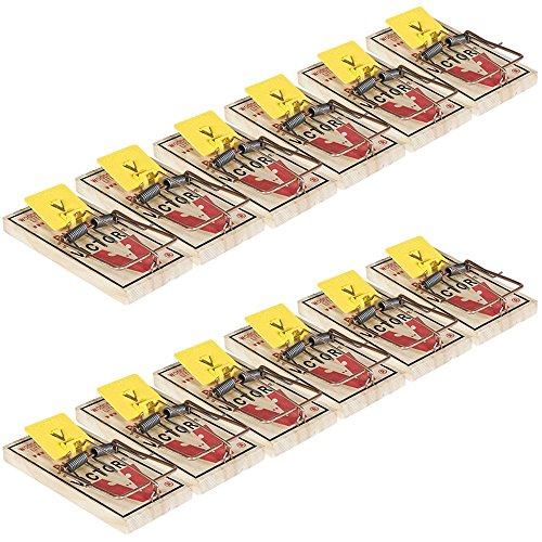 Easy Set Mice Trap M325 - 12 Traps