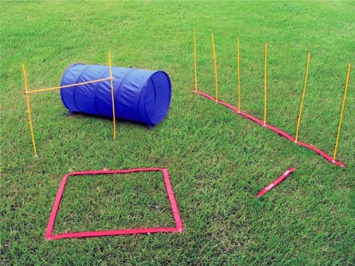 Hound Hound Kyjen DG40100 Kit de démarrage d'agilité pour chiens avec tunnel de chien tisser les obstacles à saut en hauteur, grand, rouge