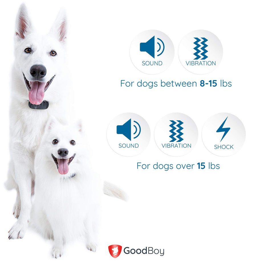 Small Size Remote Collar for Dogs with Beep Vibration and Shock Modes for Pet Behavior Training - Waterproof & 1000 Feet Range - Suitable for Small, Medium or Large Dogs Over 8 Lbs