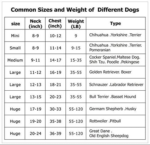 Patpet PTS-008 330 Yards Trainage à distance Dogue STOP Collier d'écorce - a un choc, des vibrations et un ton avec un écran d'écran de rétroéclairage, des boutons séparés et un récepteur résistant à l'eau. Collier électronique électrique