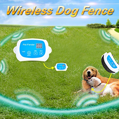 881C-2-blue-pvc-1