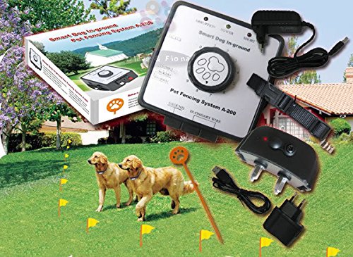 Judingcheng A200 Smart Dog In-Ground Pet Emballe Système