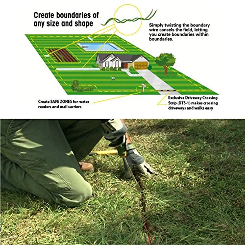 TP16 Fence Amélioration de PET Underground Electrower Electric Outdoor Clarification Système de confinement rechargeable Collier de formation de chien réglable pour les chocs de chien (pour 1 chien)