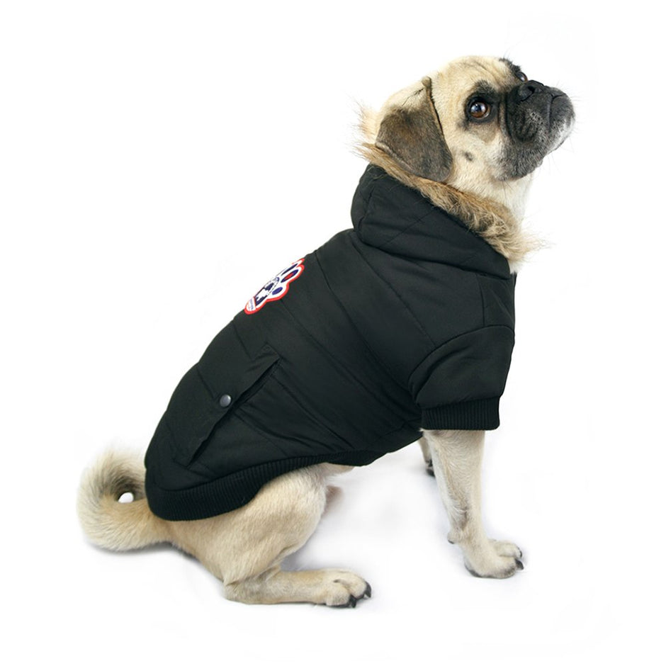 Parka du pole nord du chien du Canada, noir, taille 22