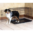 Precision Pet by Petmate 2 Door Great Crate with Precision Lock System Wire Dog Crate, 6 Sizes