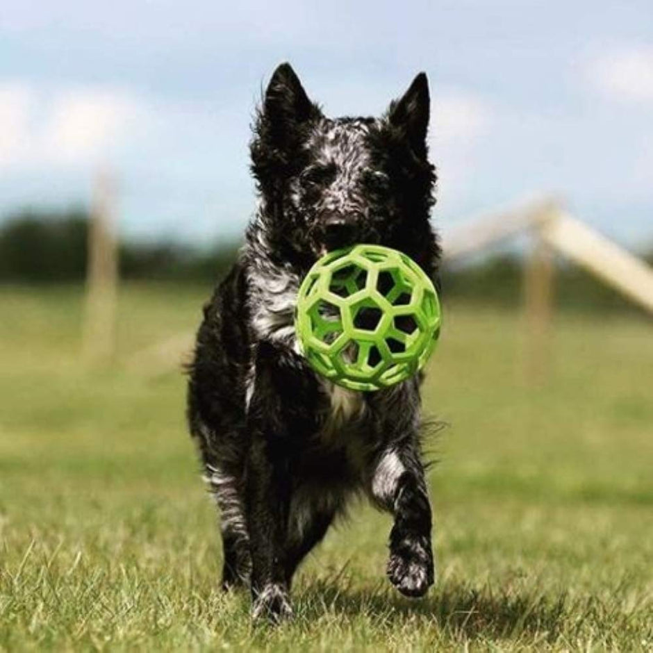 JW HOL-EE ROLLER TRAIT D'ORIGINATION DISSENSION DIG BALL - HARD NATUREL Rubber - Couleurs assorties