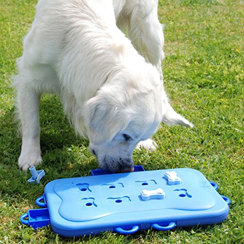 Nina Ottosson DogCasino Interactive game