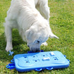 Nina Ottosson DogCasino Interactive game