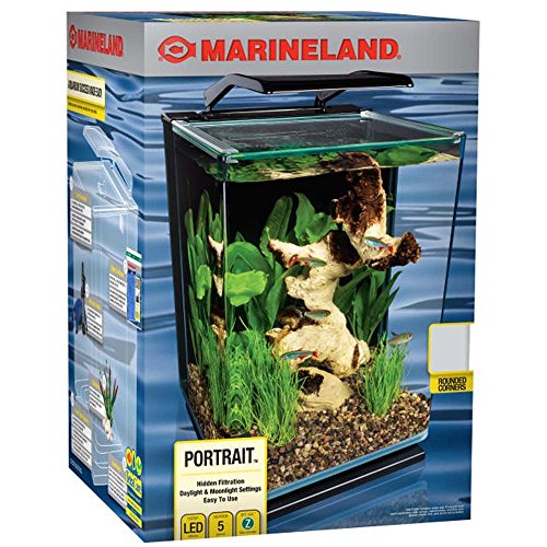 Marineland ML90609 Portrait Kit d'aquarium en verre incurvé 5Gal