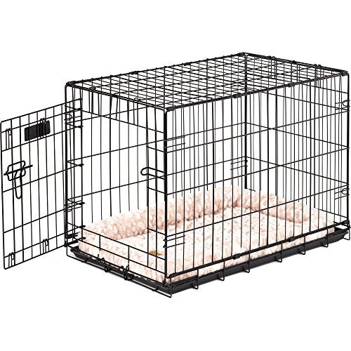 Precision Pet 7011243"ProValu, Single Door Dog Crate, Black