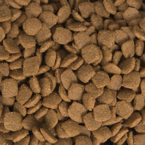 Fromm Family Foods 33 Lb Adult Gold Large Breed Formula Dry Dog Foods (1 Pack), One Size