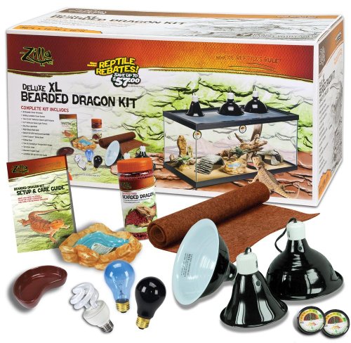 Kit de dragon barbu de luxe de luxe zila
