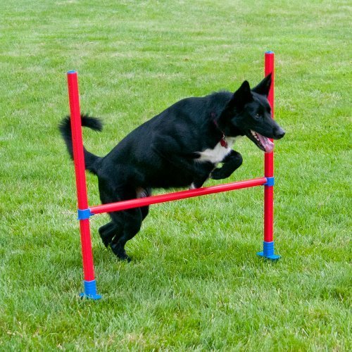 Lixit Jump Bar Dog Agility Starter Equipment by Lixit