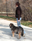 PetSafe Solvit CareLift Rear-Only Lifting Harness, Dog Lifting Harness for Rear Legs