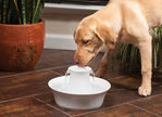 PetSafe Drinkwell Porcelain Avalon Pet Fountain