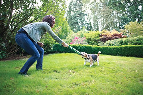 PetSafe Elite Little Dog In-Ground Fence