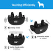 Dog Training Collar