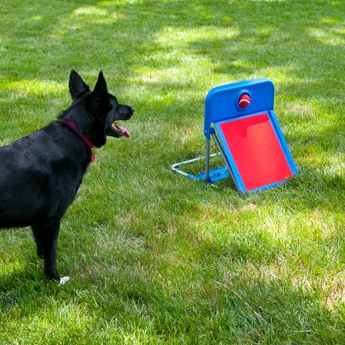LIXIT Agility Fly Ball