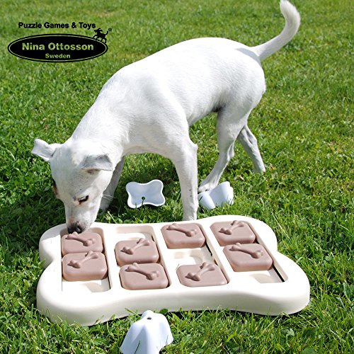 Nina Ottosson's Interactive Dog Toy