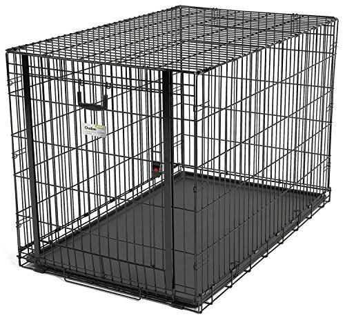 Midwest Ovation Single Door Folding Dog Crate (48-inch)