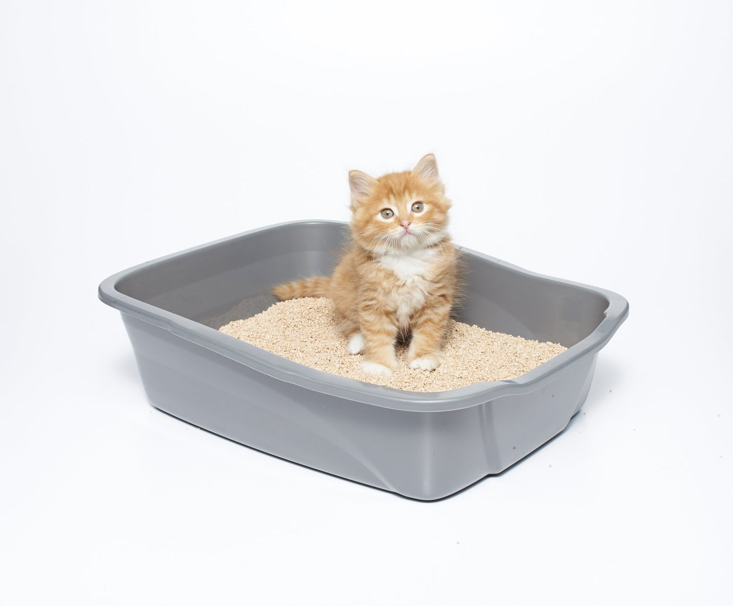 sWheat Scoop Multi-Cat All-Natural Clumping Cat Litter