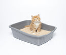 sWheat Scoop Multi-Cat All-Natural Clumping Cat Litter