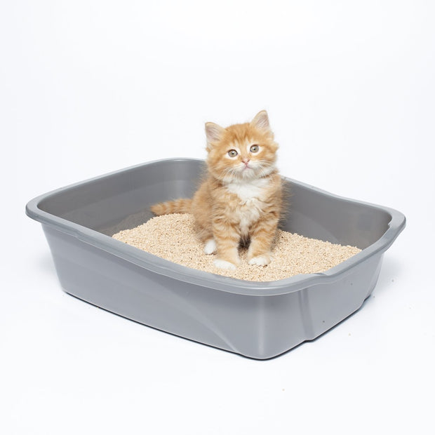 sWheat Scoop Multi-Cat All-Natural Clumping Cat Litter