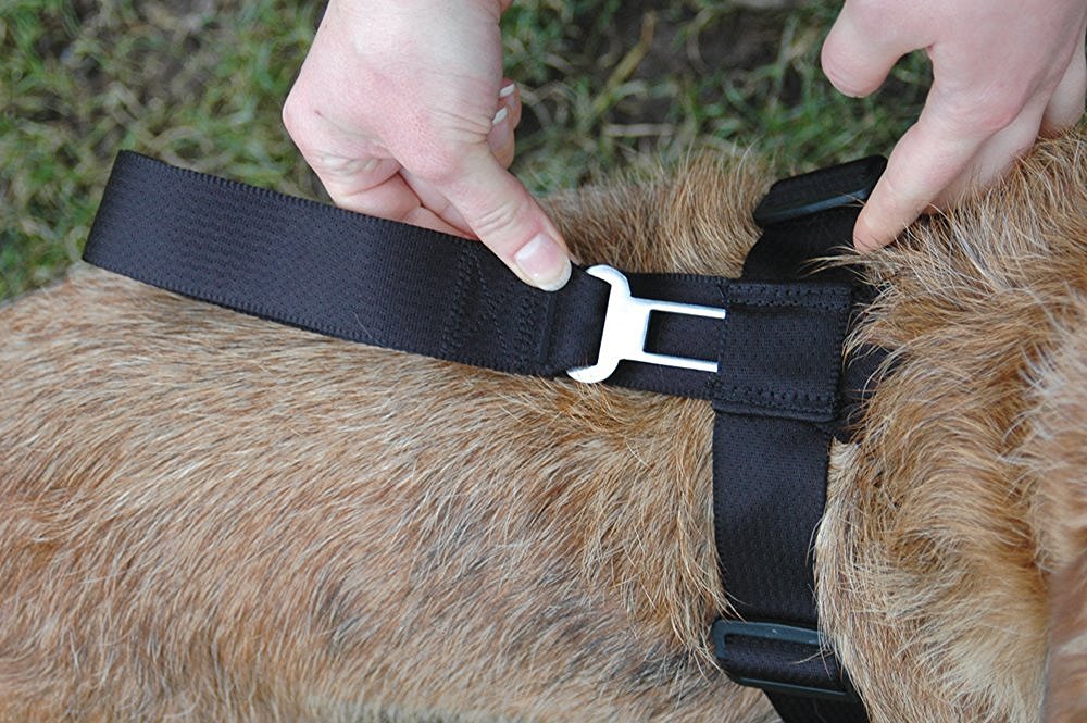 The Company of Animals Clix Car Safe Dog Harness Size