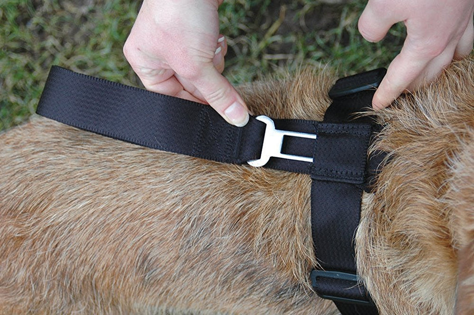 The Company of Animals Clix Car Safe Dog Harness Size