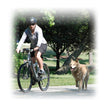 Petego Cycplus 4C8L5060328700896