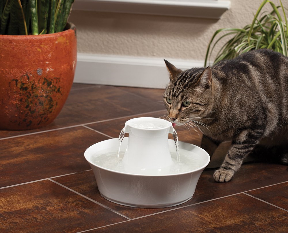 PetSafe Drinkwell Porcelain Avalon Pet Fountain