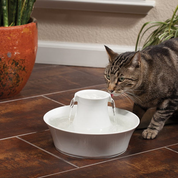 PetSafe Drinkwell Porcelain Avalon Pet Fountain