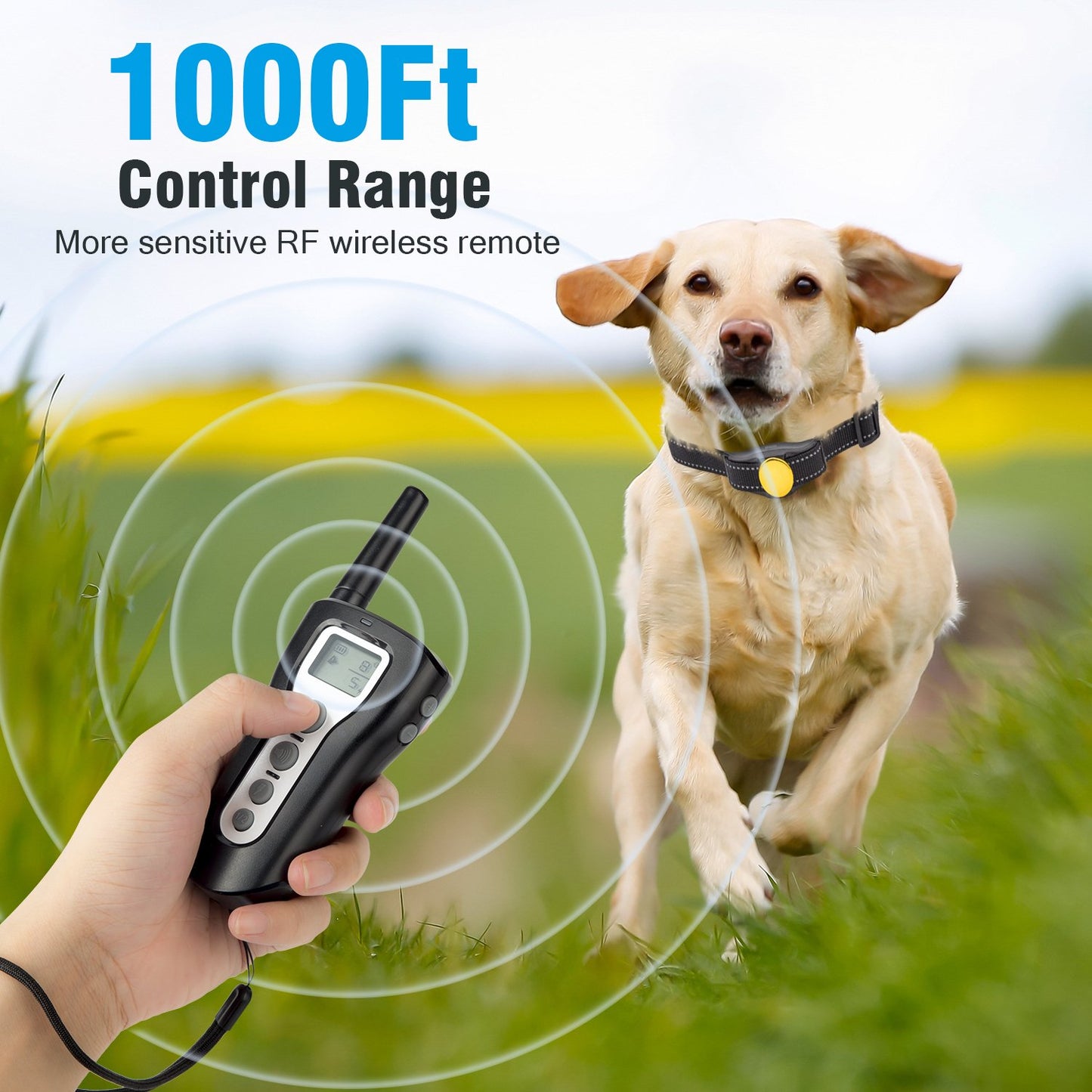 Dog Training Collar with Remote 1000ft [2018 Upgraded] Waterproof Rechargeable Electric Shock Collar for Small Medium Large Dogs