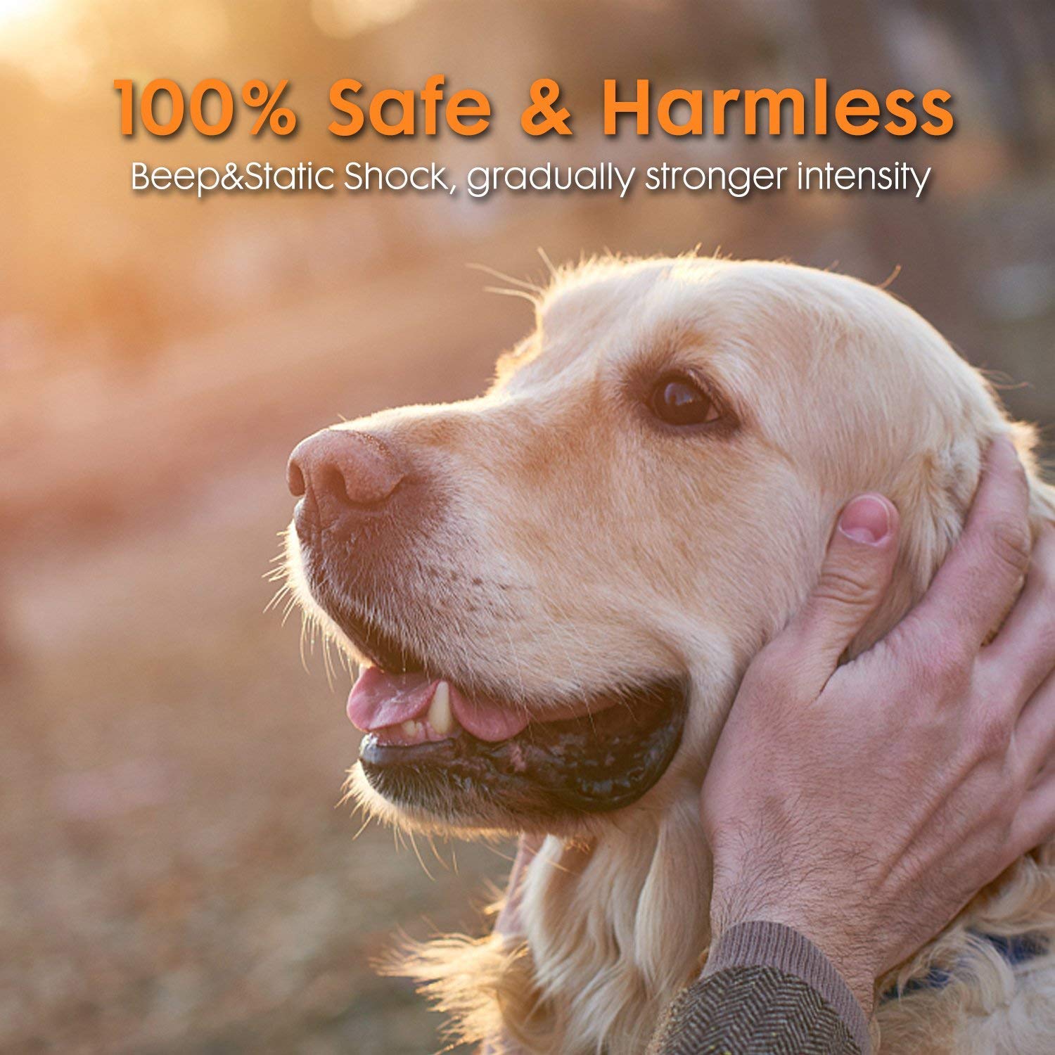 YHPOYLP Pets Wireless Dog Fence Outdoor Invisible Wireless Fence Containment System for Dogs Keep Pet Safe Radius Cover up to 1600Ft Rechargeable Waterproof Collar