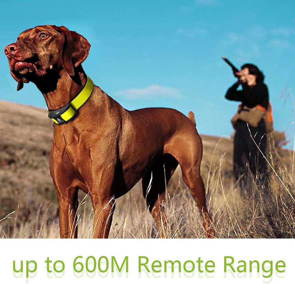 Dog Training Collar Rechargeable Waterproof 600 yd Remote Dog Collar with Tone / Vibration / Shock Mode Pet Dog Trainer For (10Lbs - 100Lbs)