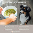 The Honest Kitchen Human Grade Dehydrated Grain Free Dog Food