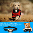 CBoner Bark Collar - Upgrade Sensitivity Rechargeable Dog Barking Control Training Collar for Small Medium Large Dogs - Beep / Vibration / Safe Shock or No /Adjustable Sensitivity